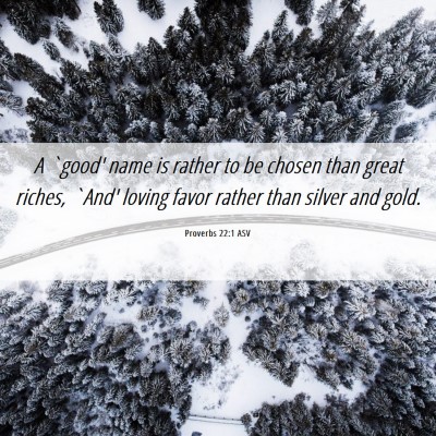 Picture 06 - Proverbs 22:1 ASV - A `good' name is rather to be chosen than great - Bible Verse Picture