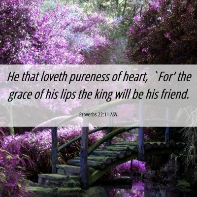 Picture 06 - Proverbs 22:11 ASV - He that loveth pureness of heart, `For' the grace - Bible Verse Picture