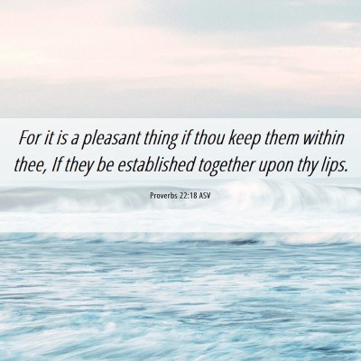 Picture 06 - Proverbs 22:18 ASV - For it is a pleasant thing if thou keep them - Bible Verse Picture