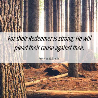 Picture 06 - Proverbs 23:11 ASV - For their Redeemer is strong; He will plead their - Bible Verse Picture