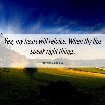 Picture 06 - Proverbs 23:16 ASV - Yea, my heart will rejoice, When thy lips speak - Bible Verse Picture