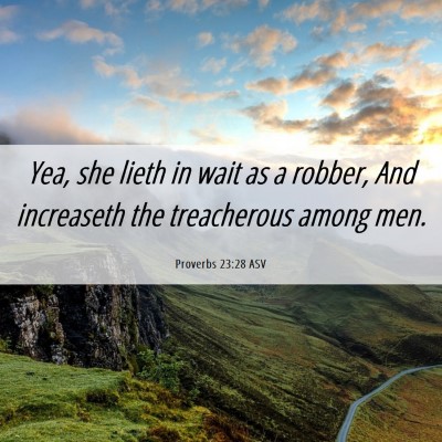 Picture 06 - Proverbs 23:28 ASV - Yea, she lieth in wait as a robber, And - Bible Verse Picture