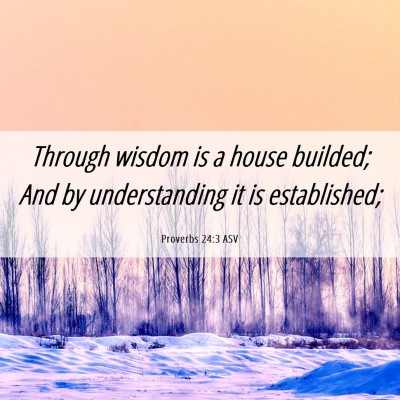 Picture 06 - Proverbs 24:3 ASV - Through wisdom is a house builded; And by - Bible Verse Picture