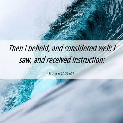 Picture 06 - Proverbs 24:32 ASV - Then I beheld, and considered well; I saw, and - Bible Verse Picture
