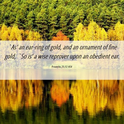 Picture 06 - Proverbs 25:12 ASV - `As' an ear-ring of gold, and an ornament of fine - Bible Verse Picture