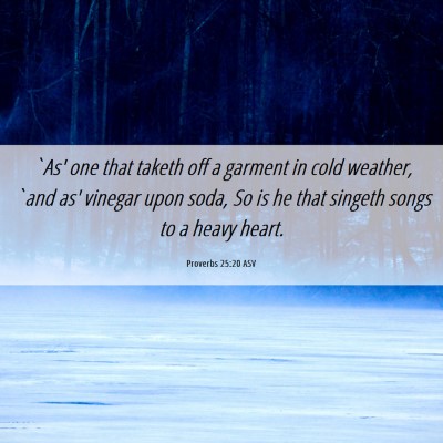 Picture 06 - Proverbs 25:20 ASV - `As' one that taketh off a garment in cold - Bible Verse Picture