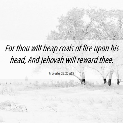 Picture 06 - Proverbs 25:22 ASV - For thou wilt heap coals of fire upon his head, - Bible Verse Picture