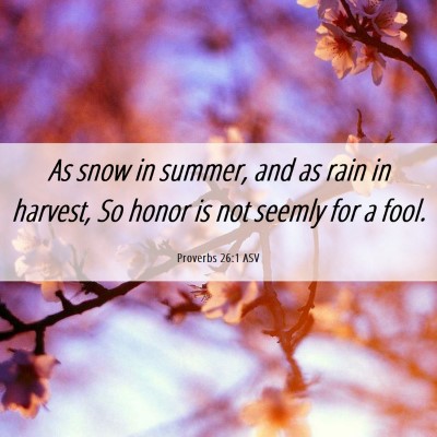 Picture 06 - Proverbs 26:1 ASV - As snow in summer, and as rain in harvest, So - Bible Verse Picture