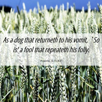 Picture 06 - Proverbs 26:11 ASV - As a dog that returneth to his vomit, `So is' a - Bible Verse Picture