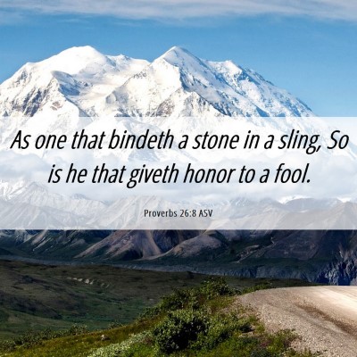 Picture 06 - Proverbs 26:8 ASV - As one that bindeth a stone in a sling, So is he - Bible Verse Picture