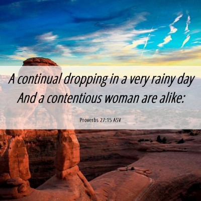 Picture 06 - Proverbs 27:15 ASV - A continual dropping in a very rainy day And a - Bible Verse Picture
