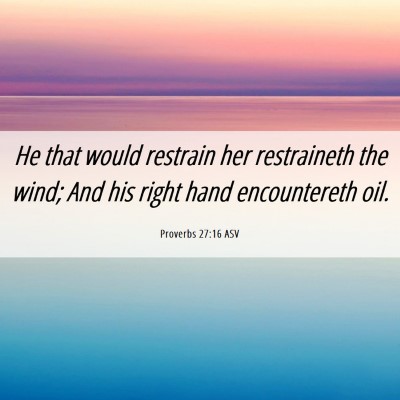 Picture 06 - Proverbs 27:16 ASV - He that would restrain her restraineth the wind; - Bible Verse Picture
