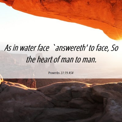Picture 06 - Proverbs 27:19 ASV - As in water face `answereth' to face, So the - Bible Verse Picture