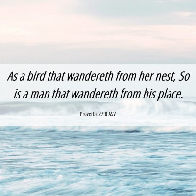 Picture 06 - Proverbs 27:8 ASV - As a bird that wandereth from her nest, So is a - Bible Verse Picture