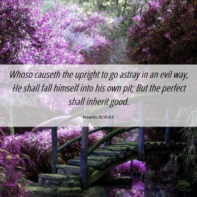 Picture 06 - Proverbs 28:10 ASV - Whoso causeth the upright to go astray in an evil - Bible Verse Picture