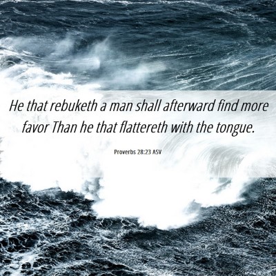 Picture 06 - Proverbs 28:23 ASV - He that rebuketh a man shall afterward find more - Bible Verse Picture