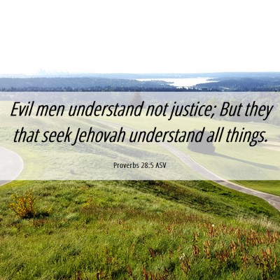 Picture 06 - Proverbs 28:5 ASV - Evil men understand not justice; But they that - Bible Verse Picture