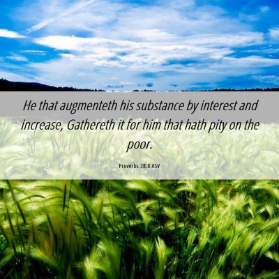 Picture 06 - Proverbs 28:8 ASV - He that augmenteth his substance by interest and - Bible Verse Picture
