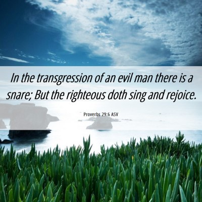 Picture 06 - Proverbs 29:6 ASV - In the transgression of an evil man there is a - Bible Verse Picture