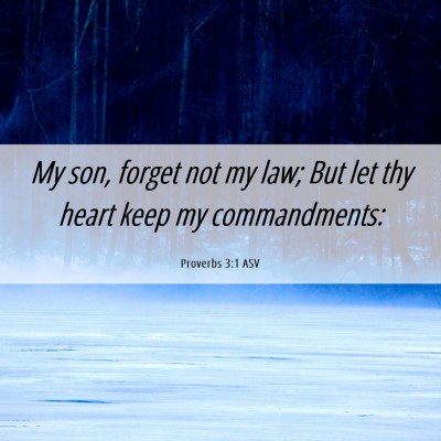 Picture 06 - Proverbs 3:1 ASV - My son, forget not my law; But let thy heart keep - Bible Verse Picture
