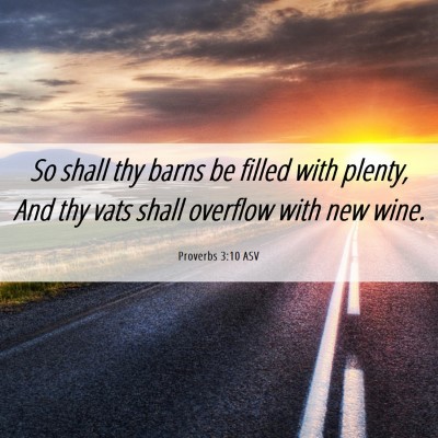 Picture 06 - Proverbs 3:10 ASV - So shall thy barns be filled with plenty, And thy - Bible Verse Picture