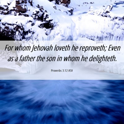 Picture 06 - Proverbs 3:12 ASV - For whom Jehovah loveth he reproveth; Even as a - Bible Verse Picture
