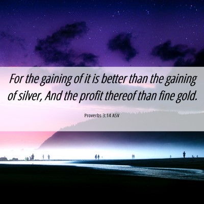 Picture 06 - Proverbs 3:14 ASV - For the gaining of it is better than the gaining - Bible Verse Picture