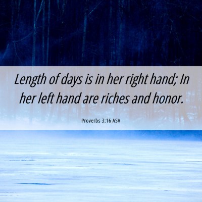 Picture 06 - Proverbs 3:16 ASV - Length of days is in her right hand; In her left - Bible Verse Picture