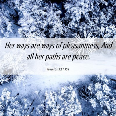Picture 06 - Proverbs 3:17 ASV - Her ways are ways of pleasantness, And all her - Bible Verse Picture