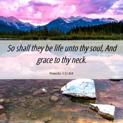 Picture 06 - Proverbs 3:22 ASV - So shall they be life unto thy soul, And grace to - Bible Verse Picture