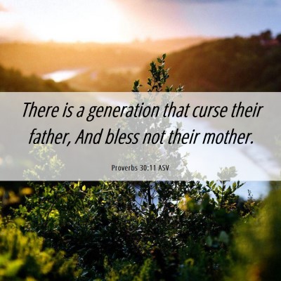 Picture 06 - Proverbs 30:11 ASV - There is a generation that curse their father, - Bible Verse Picture