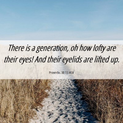 Picture 06 - Proverbs 30:13 ASV - There is a generation, oh how lofty are their - Bible Verse Picture