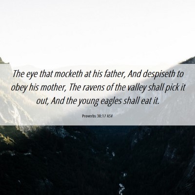 Picture 06 - Proverbs 30:17 ASV - The eye that mocketh at his father, And despiseth - Bible Verse Picture