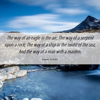 Picture 06 - Proverbs 30:19 ASV - The way of an eagle in the air; The way of a - Bible Verse Picture