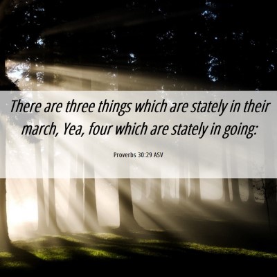 Picture 06 - Proverbs 30:29 ASV - There are three things which are stately in their - Bible Verse Picture