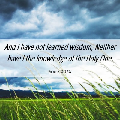 Picture 06 - Proverbs 30:3 ASV - And I have not learned wisdom, Neither have I the - Bible Verse Picture