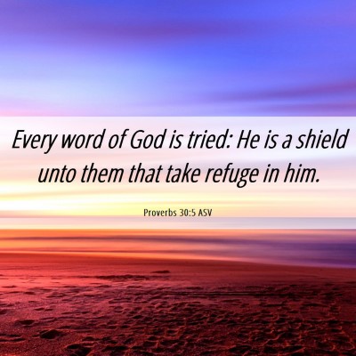 Picture 06 - Proverbs 30:5 ASV - Every word of God is tried: He is a shield unto - Bible Verse Picture