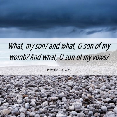 Picture 06 - Proverbs 31:2 ASV - What, my son? and what, O son of my womb? And - Bible Verse Picture
