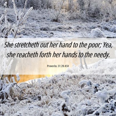 Picture 06 - Proverbs 31:20 ASV - She stretcheth out her hand to the poor; Yea, she - Bible Verse Picture