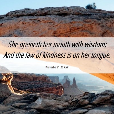 Picture 06 - Proverbs 31:26 ASV - She openeth her mouth with wisdom; And the law of - Bible Verse Picture