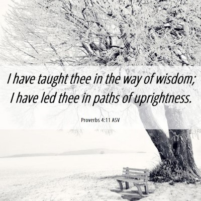 Picture 06 - Proverbs 4:11 ASV - I have taught thee in the way of wisdom; I have - Bible Verse Picture