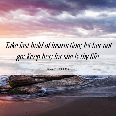 Picture 06 - Proverbs 4:13 ASV - Take fast hold of instruction; let her not go: - Bible Verse Picture