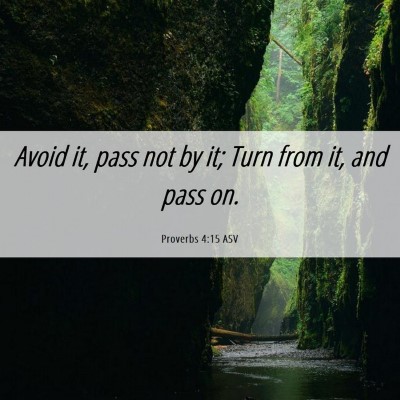 Picture 06 - Proverbs 4:15 ASV - Avoid it, pass not by it; Turn from it, and pass - Bible Verse Picture