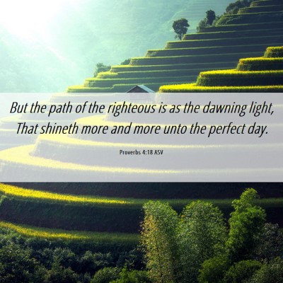 Picture 06 - Proverbs 4:18 ASV - But the path of the righteous is as the dawning - Bible Verse Picture