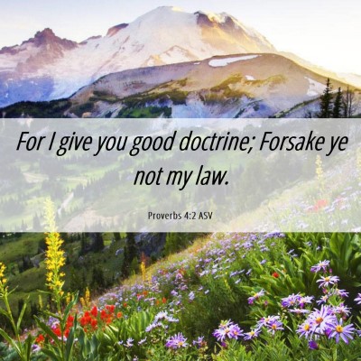 Picture 06 - Proverbs 4:2 ASV - For I give you good doctrine; Forsake ye not my - Bible Verse Picture