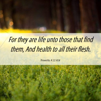 Picture 06 - Proverbs 4:22 ASV - For they are life unto those that find them, And - Bible Verse Picture