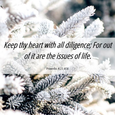 Picture 06 - Proverbs 4:23 ASV - Keep thy heart with all diligence; For out of it - Bible Verse Picture