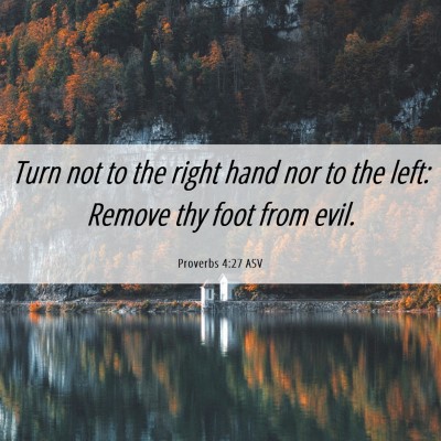 Picture 06 - Proverbs 4:27 ASV - Turn not to the right hand nor to the left: - Bible Verse Picture