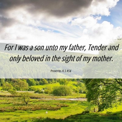 Picture 06 - Proverbs 4:3 ASV - For I was a son unto my father, Tender and only - Bible Verse Picture