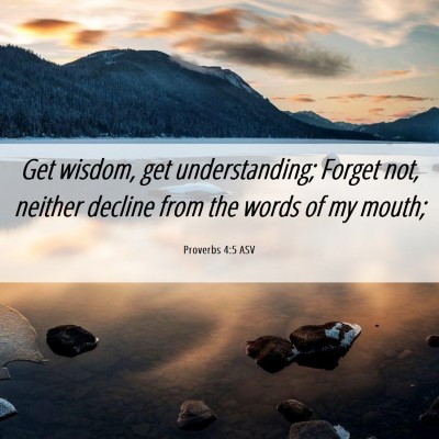 Picture 06 - Proverbs 4:5 ASV - Get wisdom, get understanding; Forget not, - Bible Verse Picture